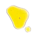 the-ordinary-aceite-de-semilla-de-rosa-mosqueta-100-organico