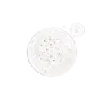 The Ordinary Alpha Arbutin 2% + HA | Sérum Antimanchas