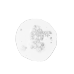 Sérum Equilibrante y Clarificante The Ordinary