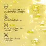Multi-Antioxidant Radiance Serum